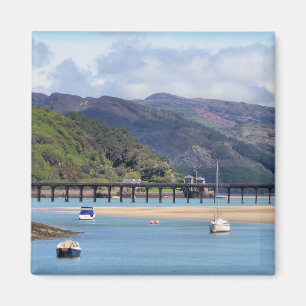 WALES SYNPUNKTER MAGNET