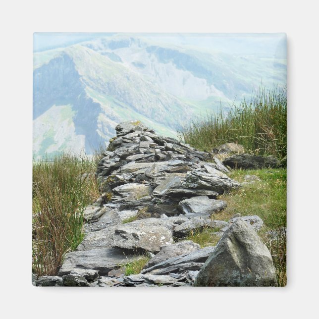 WALES SYNPUNKTER MAGNET (Framsidan)