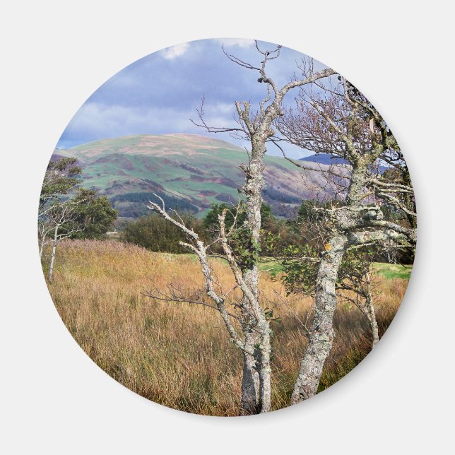 WALES SYNPUNKTER MAGNET (Framsidan)