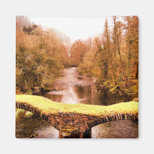 WALES SYNPUNKTER MAGNET (Framsidan)