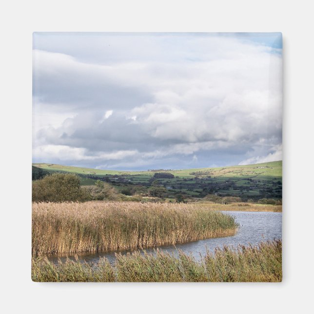 WALES SYNPUNKTER MAGNET (Framsidan)