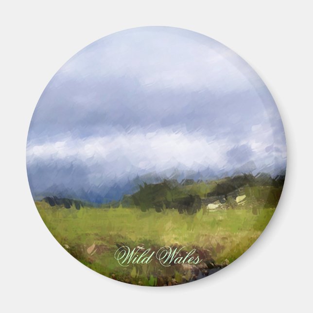 WALES SYNPUNKTER MAGNET (Framsidan)