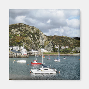 WALES SYNPUNKTER MAGNET