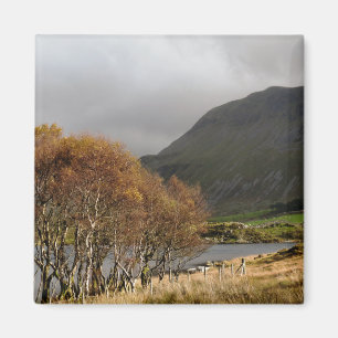 WALES SYNPUNKTER MAGNET