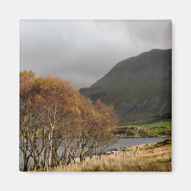 WALES SYNPUNKTER MAGNET (Framsidan)