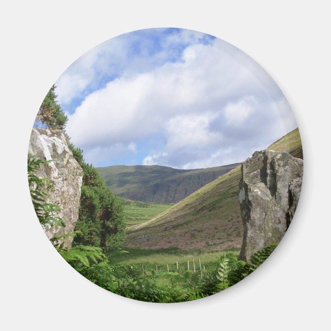 WALES SYNPUNKTER MAGNET (Framsidan)