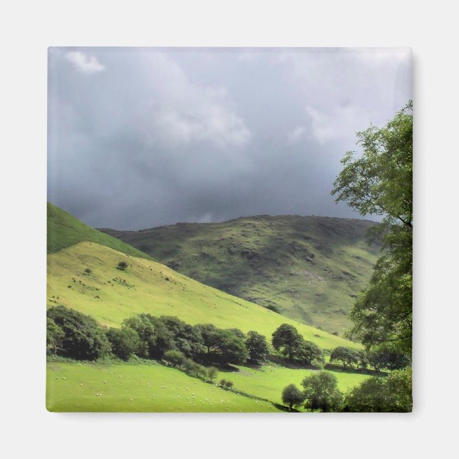 WALES SYNPUNKTER MAGNET (Framsidan)