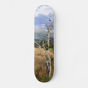 WALES SYNPUNKTER MINI SKATEBOARD BRÄDA 18,7 CM
