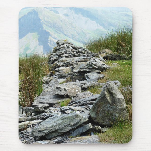 WALES SYNPUNKTER MUSMATTA (Framsidan)