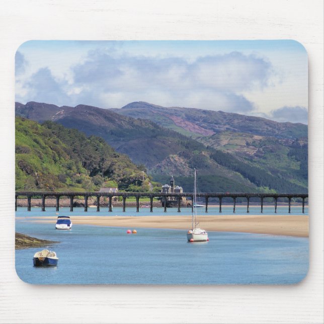 WALES SYNPUNKTER MUSMATTA (Framsidan)
