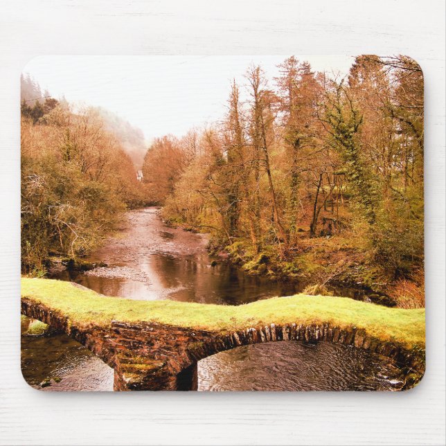 WALES SYNPUNKTER MUSMATTA (Framsidan)