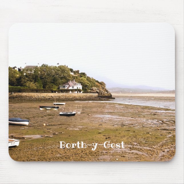 WALES SYNPUNKTER MUSMATTA (Framsidan)