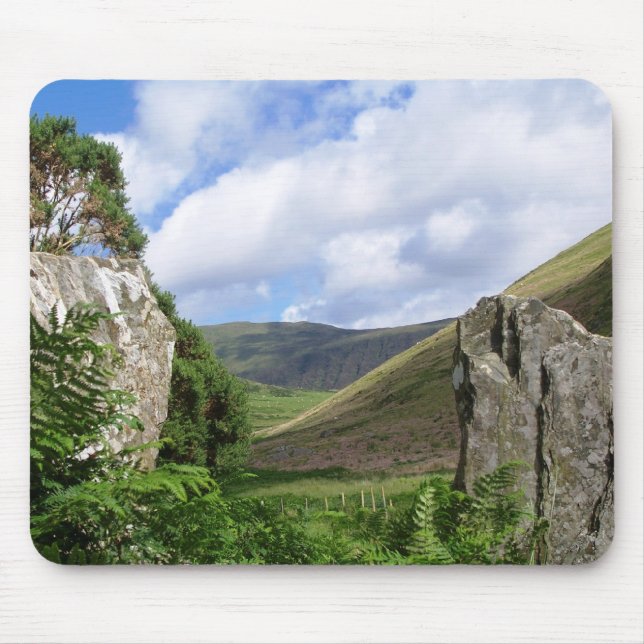 WALES SYNPUNKTER MUSMATTA (Framsidan)