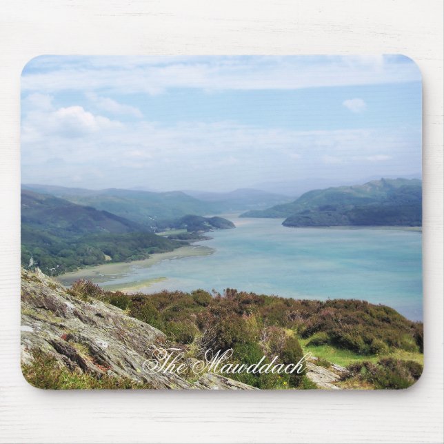 WALES SYNPUNKTER MUSMATTA (Framsidan)