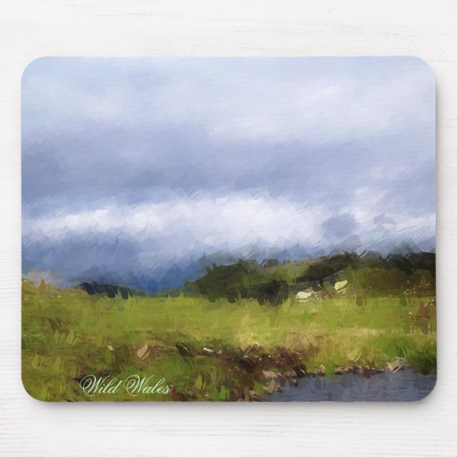 WALES SYNPUNKTER MUSMATTA (Framsidan)