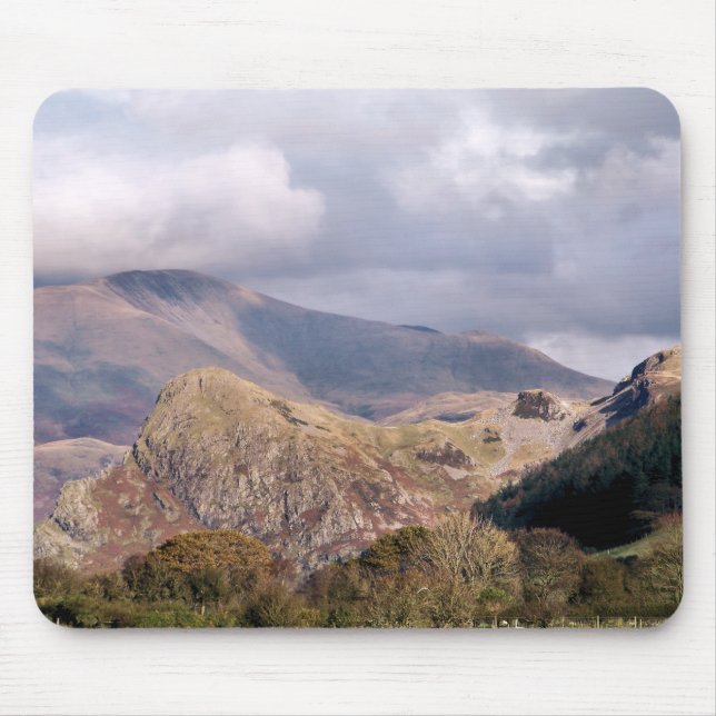 WALES SYNPUNKTER MUSMATTA (Framsidan)