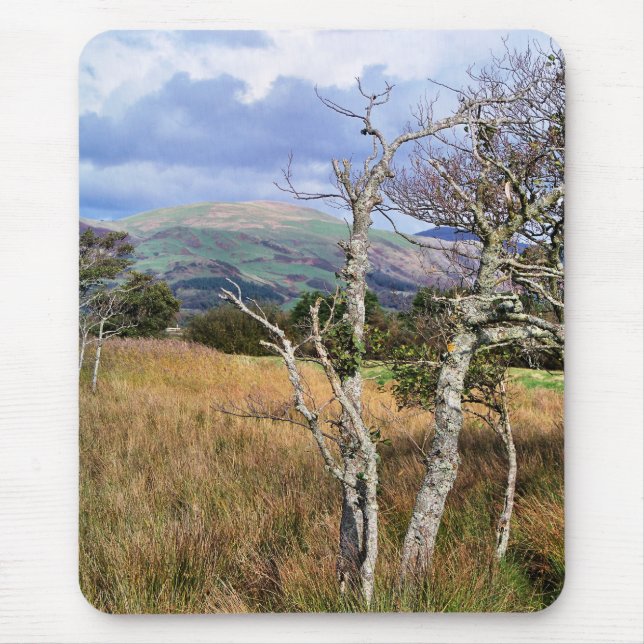 WALES SYNPUNKTER MUSMATTA (Framsidan)