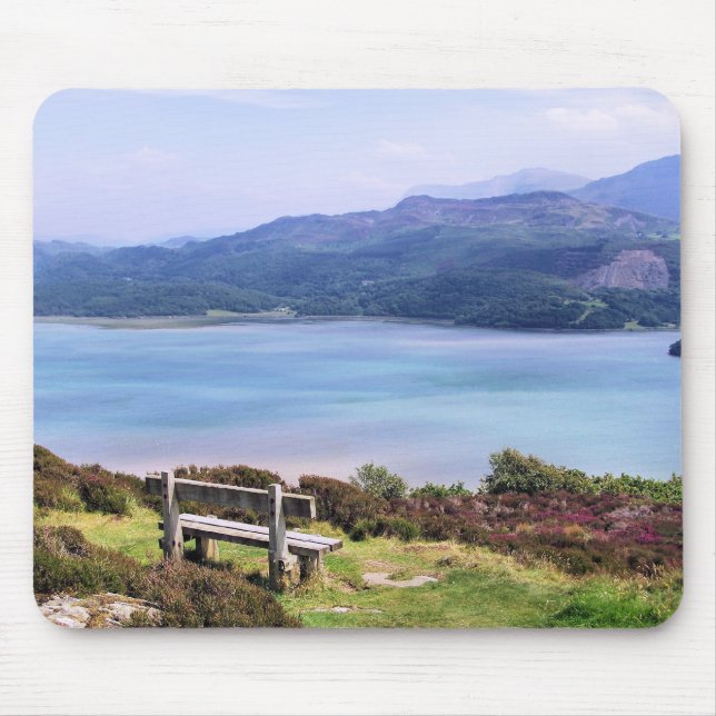 WALES SYNPUNKTER MUSMATTA (Framsidan)