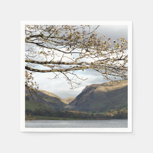 WALES SYNPUNKTER PAPPERSSERVETT (Framsidan)