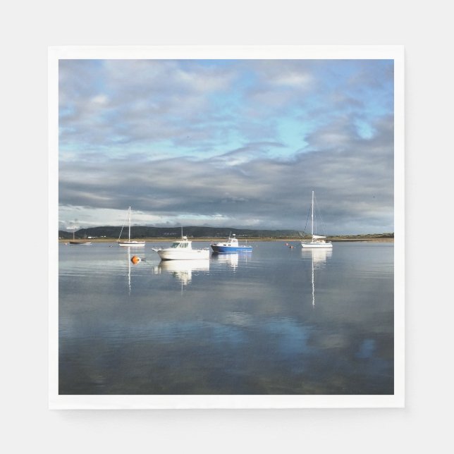 WALES SYNPUNKTER PAPPERSSERVETT (Framsidan)