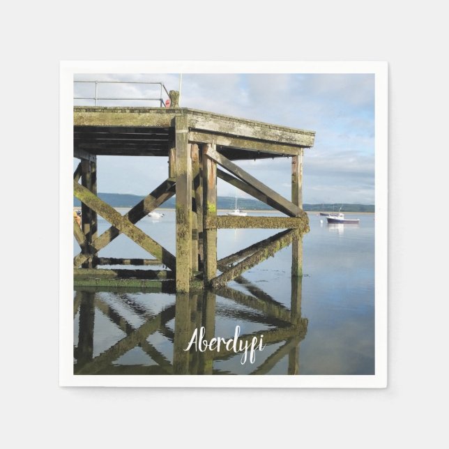 WALES SYNPUNKTER PAPPERSSERVETT (Framsidan)