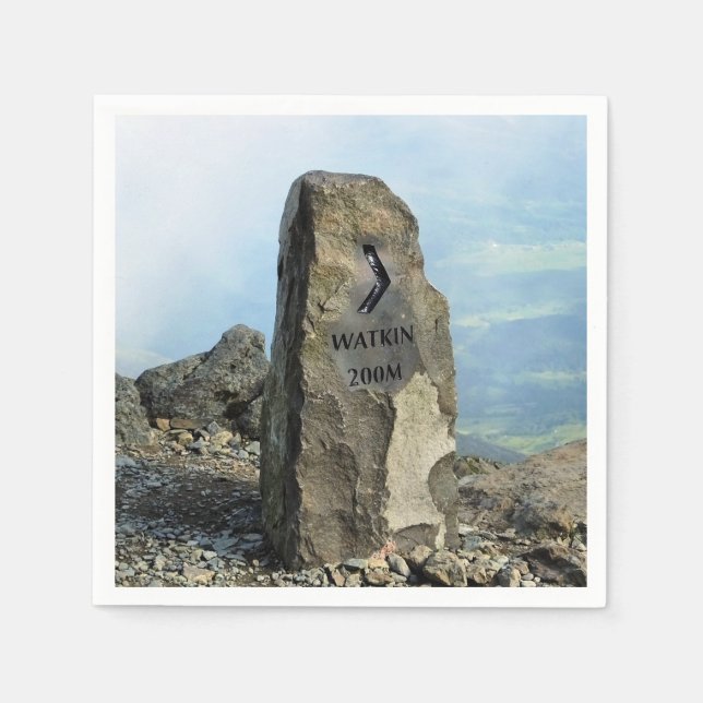 WALES SYNPUNKTER PAPPERSSERVETT (Framsidan)