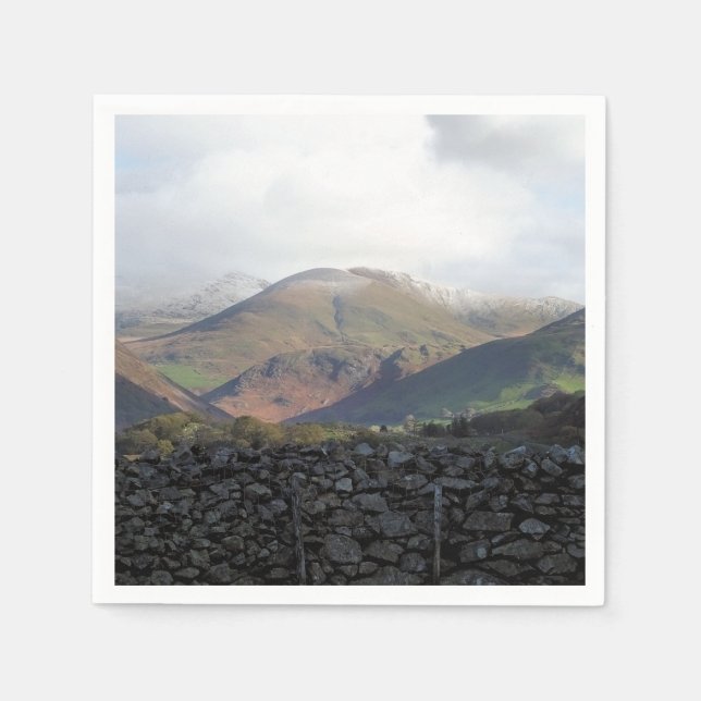 WALES SYNPUNKTER PAPPERSSERVETT (Framsidan)