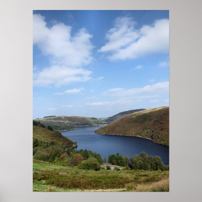 WALES SYNPUNKTER POSTER (Framsidan)