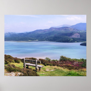 WALES SYNPUNKTER POSTER