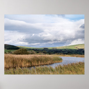 WALES SYNPUNKTER POSTER