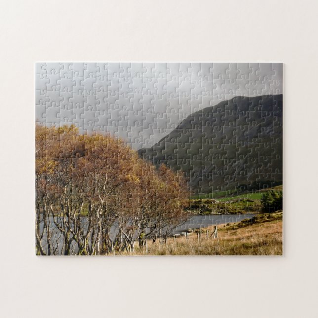 WALES SYNPUNKTER PUSSEL (Horisontell)