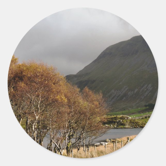 WALES SYNPUNKTER RUNT KLISTERMÄRKE (Framsida)