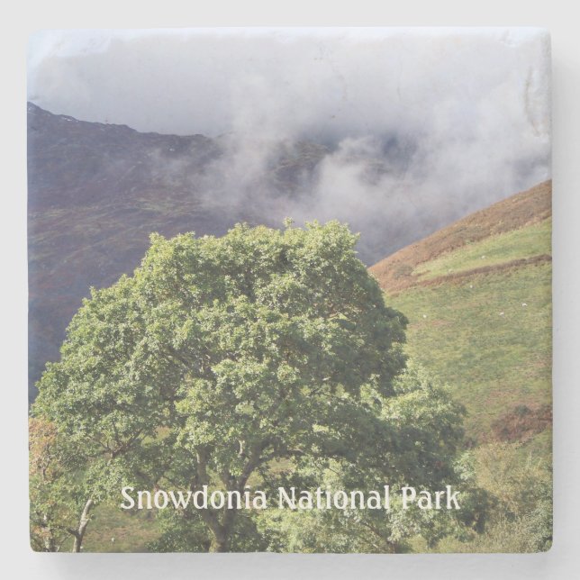 WALES SYNPUNKTER STENUNDERLÄGG (Framsidan)