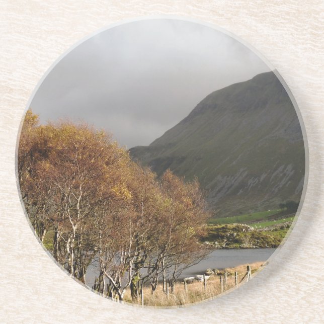 WALES SYNPUNKTER UNDERLÄGG (Framsidan)