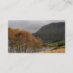 WALES SYNPUNKTER VISITKORT