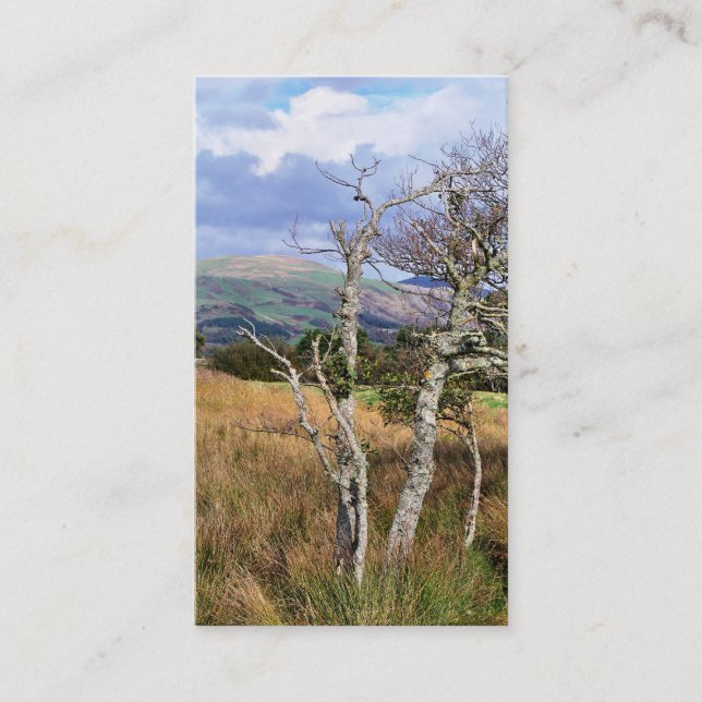 WALES SYNPUNKTER VISITKORT (Framsida)