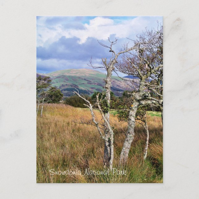 WALES SYNPUNKTER VYKORT (Framsida)