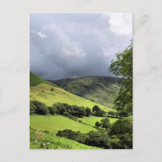 WALES SYNPUNKTER VYKORT (Framsida)