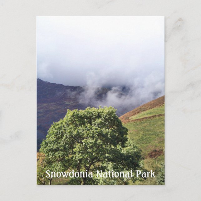 WALES SYNPUNKTER VYKORT (Framsida)