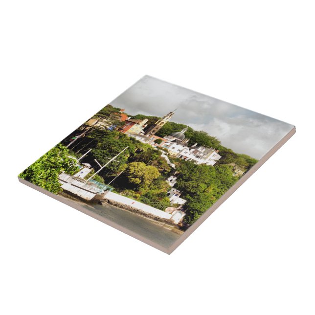 WALES VILLAGES KAKELPLATTA (Sidan)