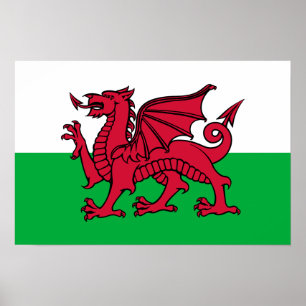 Wales - Welsh Flagga Poster