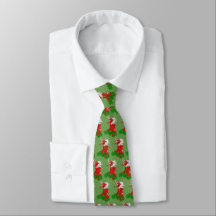 Wales Welsh Rugby Tie Slips