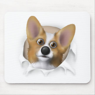 Walesisk Corgi 1 som ut slår sönder Musmatta