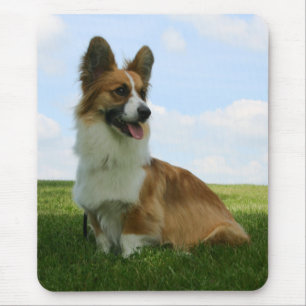 Walesisk Corgi för fluffig kofta Musmatta