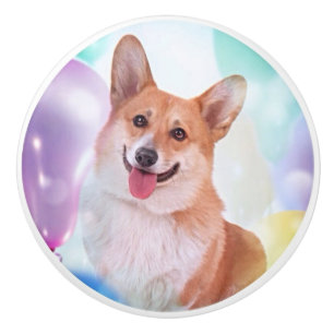 Walesisk Corgi för lycklig Pembroke med ballonger Knopp