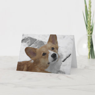 Walesisk Corgi för Pembroke i snökort Kort