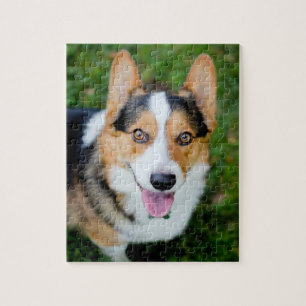 Walesisk Corgi för Pembroke Pussel