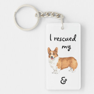 Walesisk Corgi för räddingPembroke
