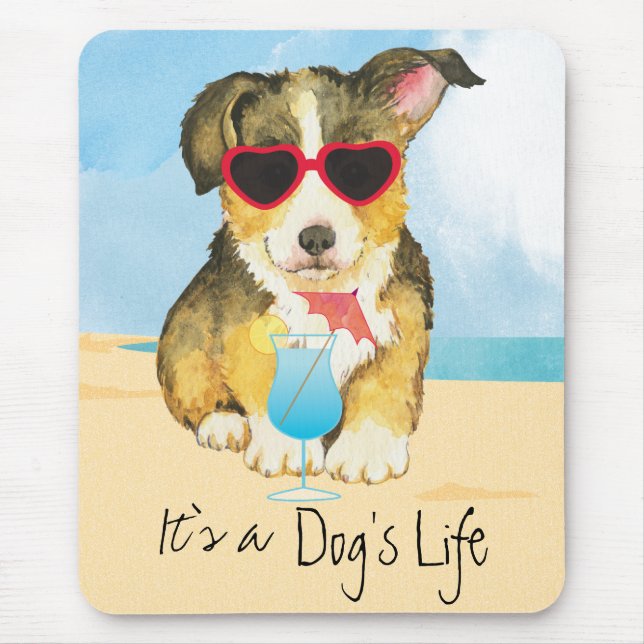 Walesisk Corgi för sommarPembroke Musmatta (Framsidan)