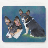 Walesisk Corgi